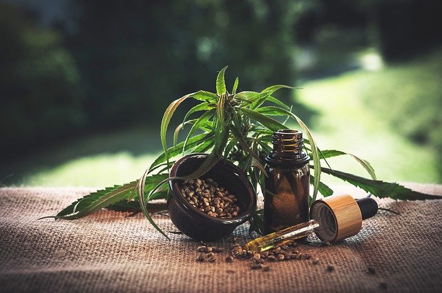 Benefits Of Hemp Oil To Your Appearance, Health, And More