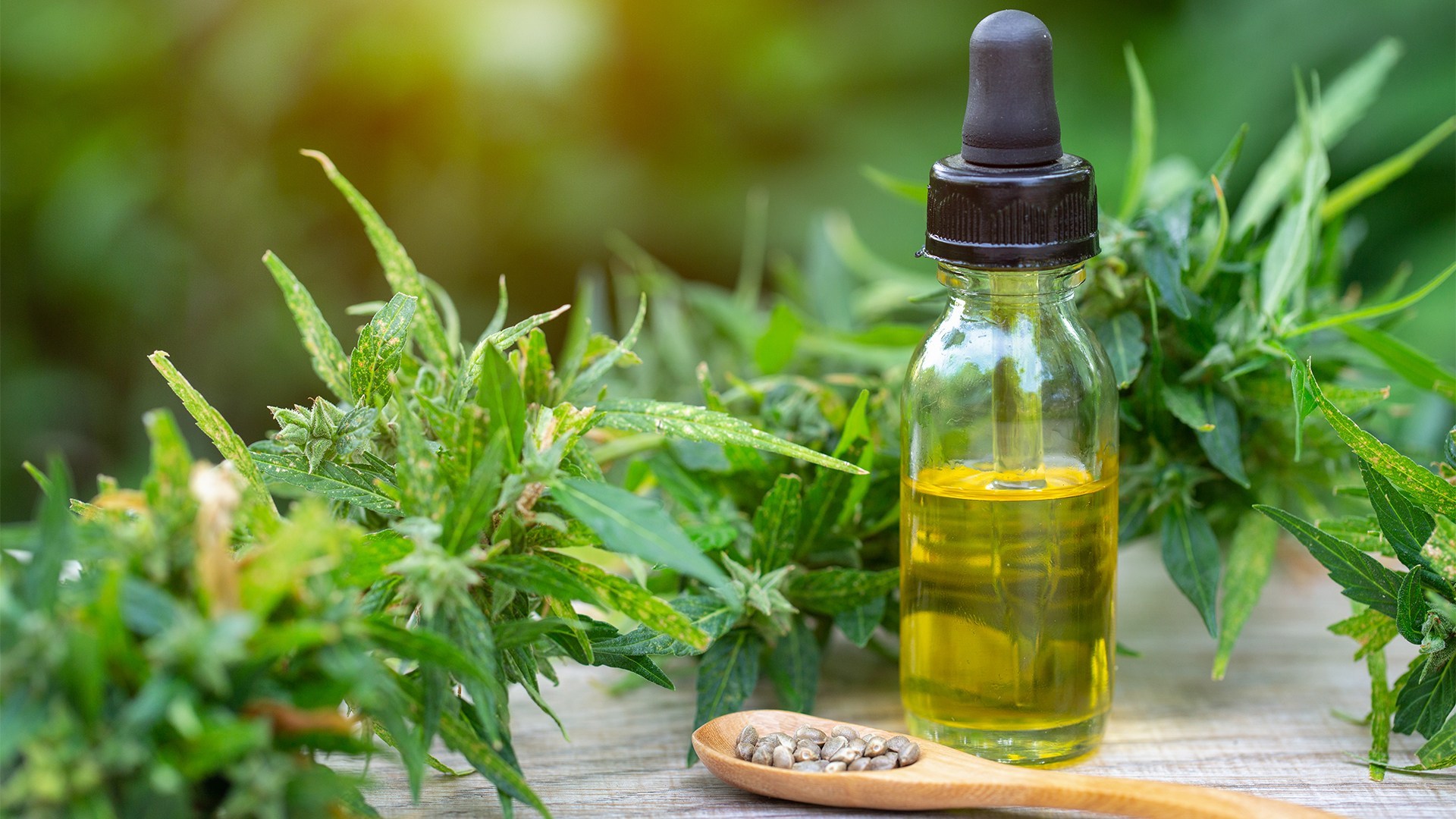 CBD Oil and its Health Benefits – Few Useful Information