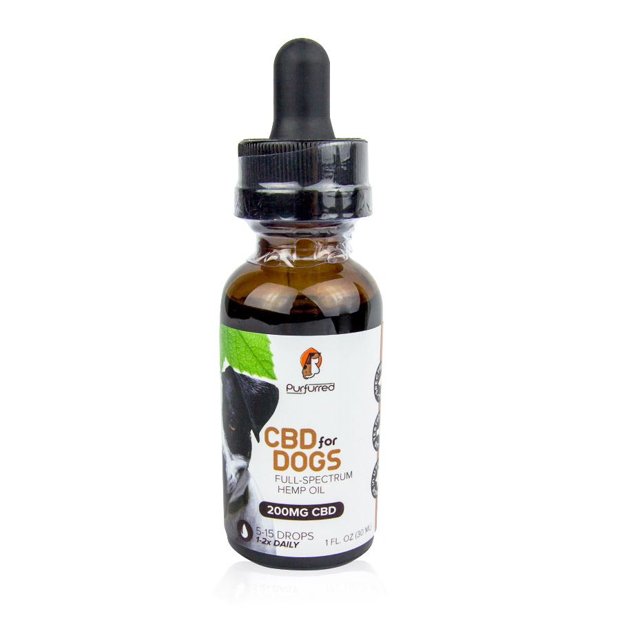 Things to consider to find the right CBD oil for your dogs