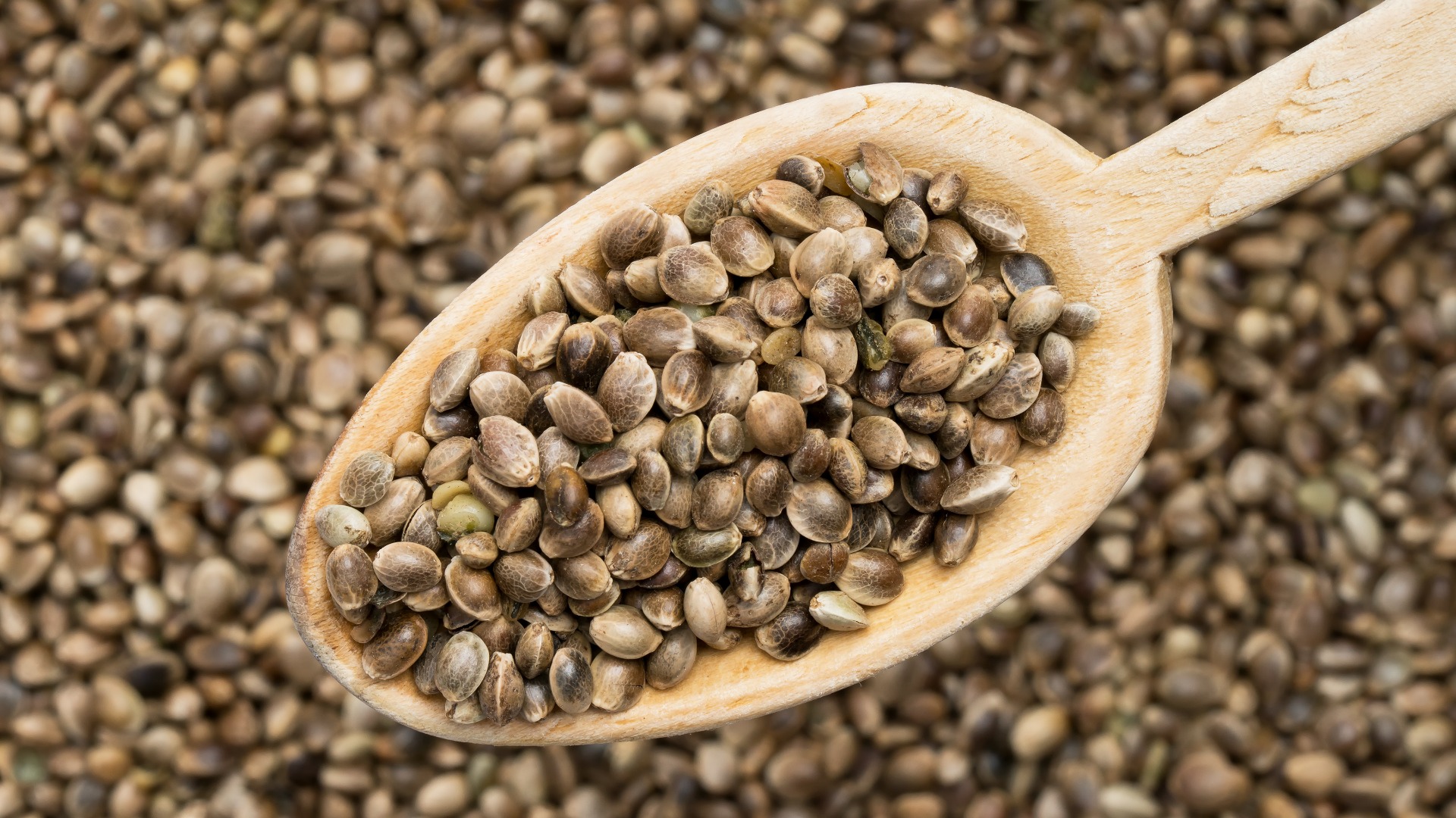 Top 3 Best Ways to Soak Your Seeds – Marijuana Seeds